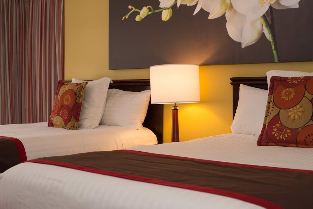 Hotel Palma Real San Jose  Eksteriør bilde